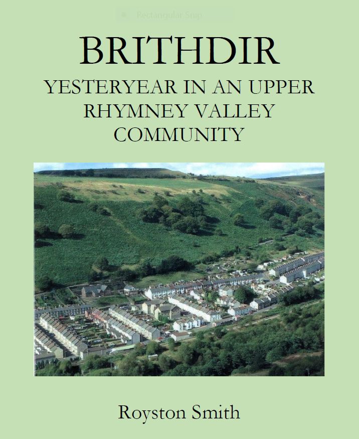 Brithdir Book cover